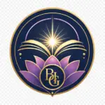 Balance Integration Group LLC publisher mark